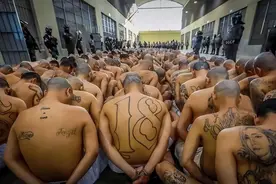 萨尔瓦多囚犯被迫排成“人体蜈蚣”？背后的真相令人毛骨悚然图片
