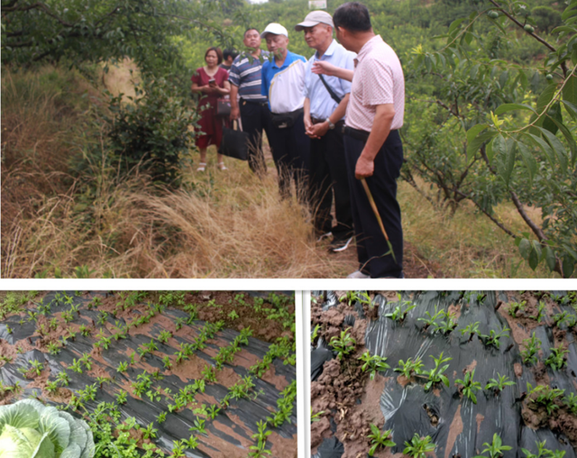 四川省民生研究会新媒体中心-官网