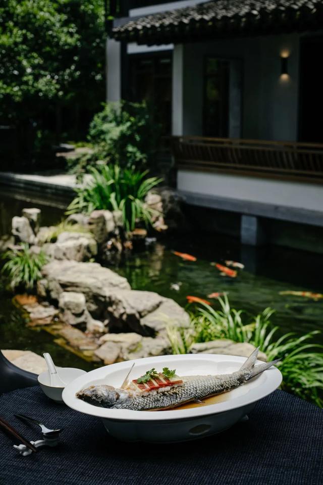 川贝炖花胶 2026年花胶川贝瘦肉的做法