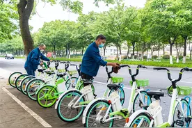 栾树下停的车总有黏糊糊的油滴 专家表示：是蚜虫在“作怪”图片