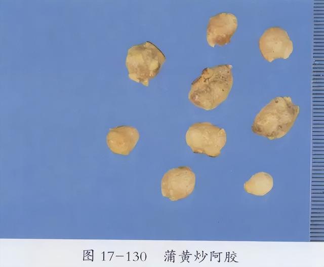 每天学习一味中药——阿胶