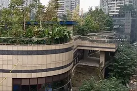 重庆观音桥大型的购物商场，完工多年不见下文，地标景观长满杂草图片