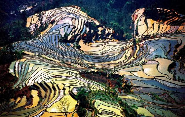 罗平旅游攻略(罗平最佳旅游时间)