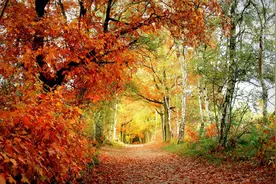 话不能说太满，事不能做太绝图片