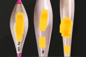 钓鱼浮漂的选用分析图片