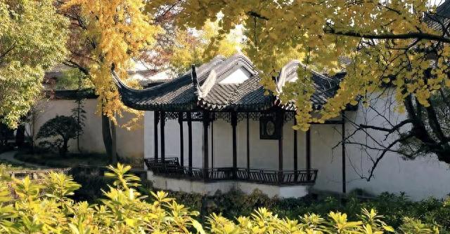 拙政园游玩攻略(拙政园十个景点顺序)