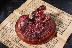 法于阴阳，和于术数，食饮有节，起居有常，不妄作劳图片