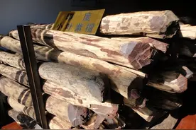 什么是小叶紫檀？图片