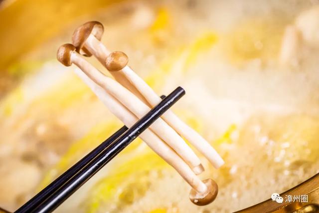 港式花胶泡大 港式花胶鸡汤怎么熬