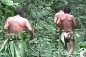 生活在亚马逊的原始部落，手持两米长的弓箭，能射杀大多数动物图片