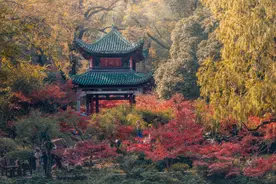 与爱晚亭来一场跨时空相遇图片