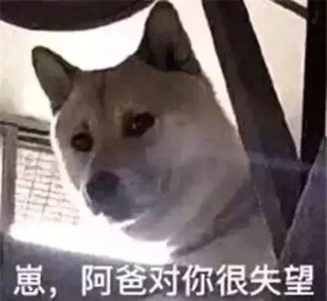 满屏黑丝美腿！曾经最火的搞机社区，变味了