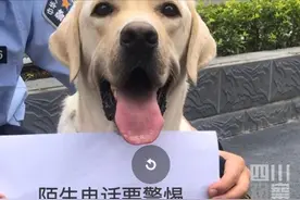 四川乐山，狗狗跑进派出所蹭饭被民警安排反诈宣传，网友：反诈狗狗没一口肉是白吃的图片