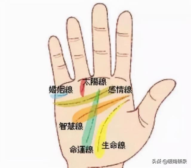 手相"男人断掌千斤两,女人断掌过房养"是什么意思?有啥说法
