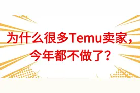 为什么很多Temu卖家，今年都不做了？图片