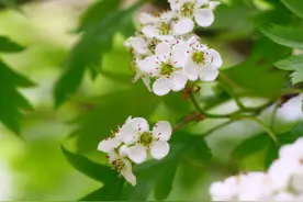 晚年，4个星座，不孤单不缺钱，有人陪有人爱，生活幸福美满图片