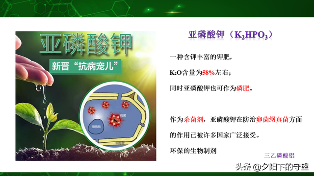 植物生物刺激素的常见分类，你都知道吗？