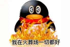 QQ企鹅表情包图片