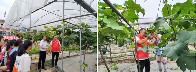 四川省民生研究会新媒体中心-官网