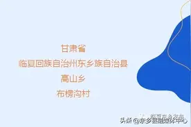 2022年中国美丽休闲乡村典型案例 ①丨甘肃省东乡族自治县布楞沟村图片
