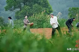 一个被通缉的福建人，带着1000多人逃到海外，建了一座中国城图片