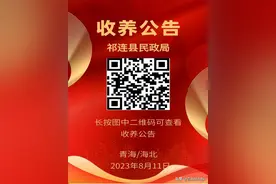 祁连县民政局收养公告图片