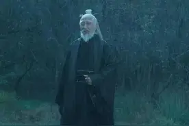 雪中悍刀行的一个武功BUG图片