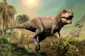 霸王龙：生物史上最大的捕食者之一图片