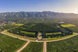 秦始皇陵：2002年考古学家全面勘探了秦始皇陵，发现五个惊奇之处图片