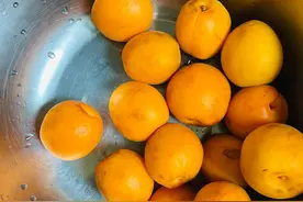 自制杏干第一次就成功图片