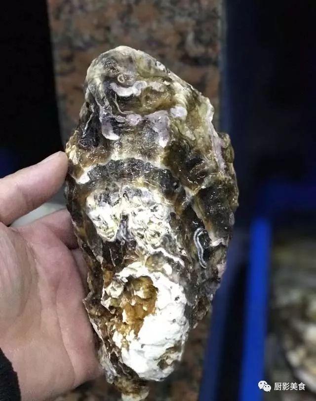 40头的花胶是几级 2025年花胶40头是什么意思?