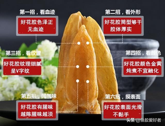 便宜花胶与贵花胶的区别 2026年便宜花胶与贵花胶的区别在哪