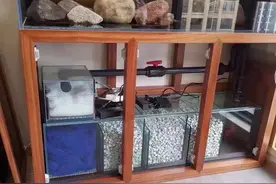 鱼缸滤材摆放顺序，你做对了吗图片