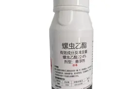 螺虫乙酯是粉虱、蚜虫克星，治不住虫的，多是用错了方法图片