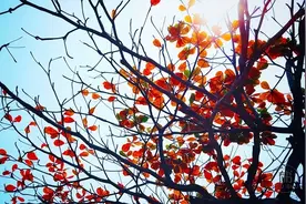 人生五大忌，一个也别犯！图片