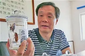 2011年山东公务员辞职养蟑螂，十年繁殖40亿只，变废为宝赚上亿元图片