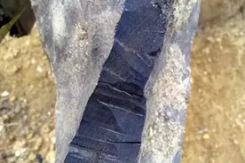 江西农民河里发现"神奇黑木",3天花8万派人挖出,专家:价值上亿元图片