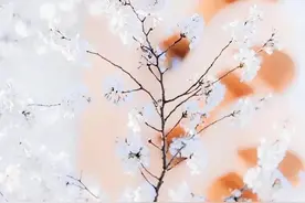 你如星河如朝露#文案#有深度#图片