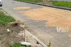 男子骑车遇马路晒麦子滑倒摔伤 报警后找不到麦子主人 “民警将麦子判给我 卖了1800元”图片