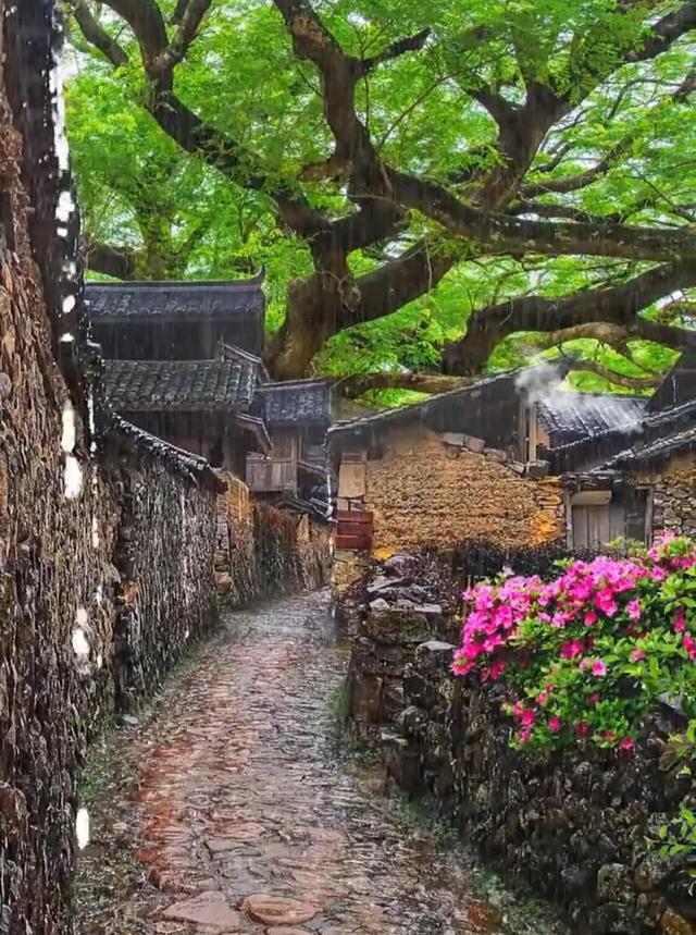 古人对雨的雅称，太浪漫