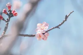 一位70岁老人说：走到生命尽头才知道，亲情是很现实的图片