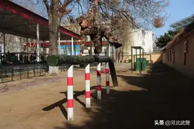 “春训”练兵正当时，训练场上见高低！图片