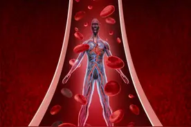 人类身上到底有多少洞？图片