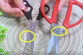 剪刀锈钝、合不上怎么办？教你一个小诀窍，不花一分钱就修好图片