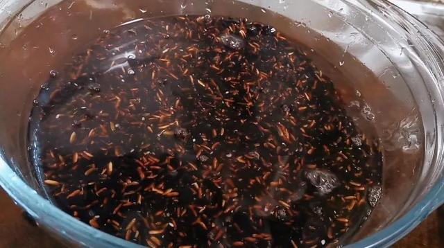 南非花胶的作用 南非花胶的作用是什么