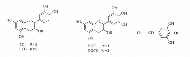 植物功效成分-鞣质