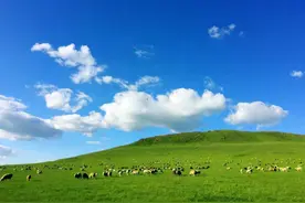 不看不知道，一看吓一跳，内蒙古怎么会是这样？图片