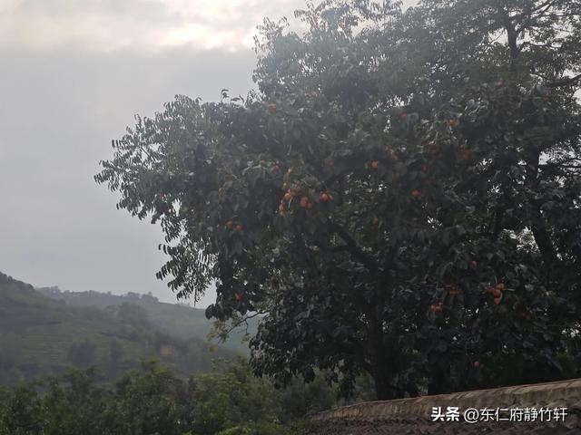相约陕西省西安市鄠邑区蒋村街道白龙村甘河东岸一念等某人民宿