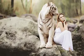 “虎年”英文怎么说？图片