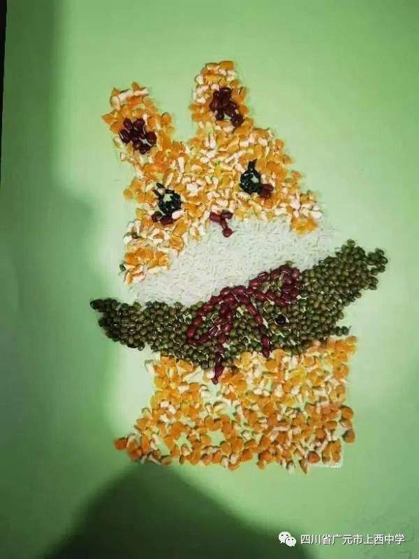 四川省民生研究会新媒体中心-官网